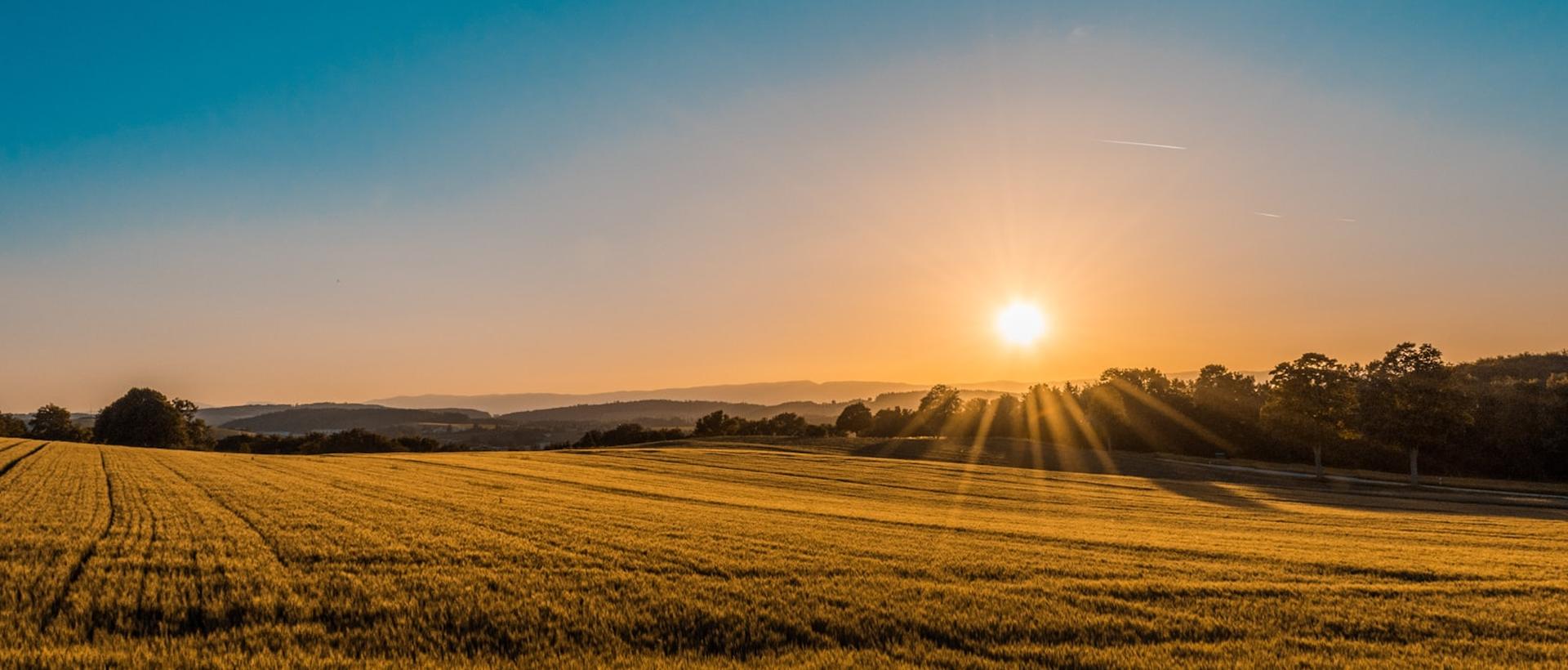 Golden farm fields under a dramatic evening sky